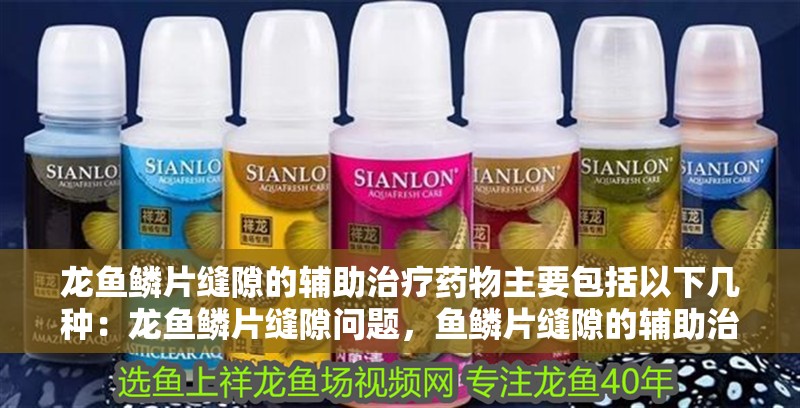 龍魚鱗片縫隙的輔助治療藥物主要包括以下幾種：龍魚鱗片縫隙問題，魚鱗片縫隙的輔助治療藥物
