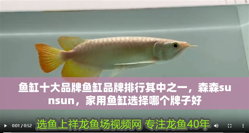 魚缸十大品牌魚缸品牌排行其中之一，森森sunsun，家用魚缸選擇哪個牌子好