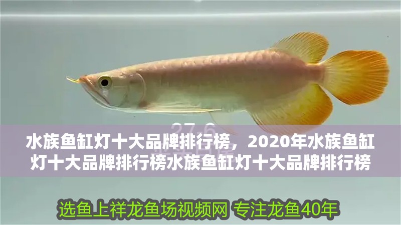 水族魚(yú)缸燈十大品牌排行榜，2020年水族魚(yú)缸燈十大品牌排行榜水族魚(yú)缸燈十大品牌排行榜