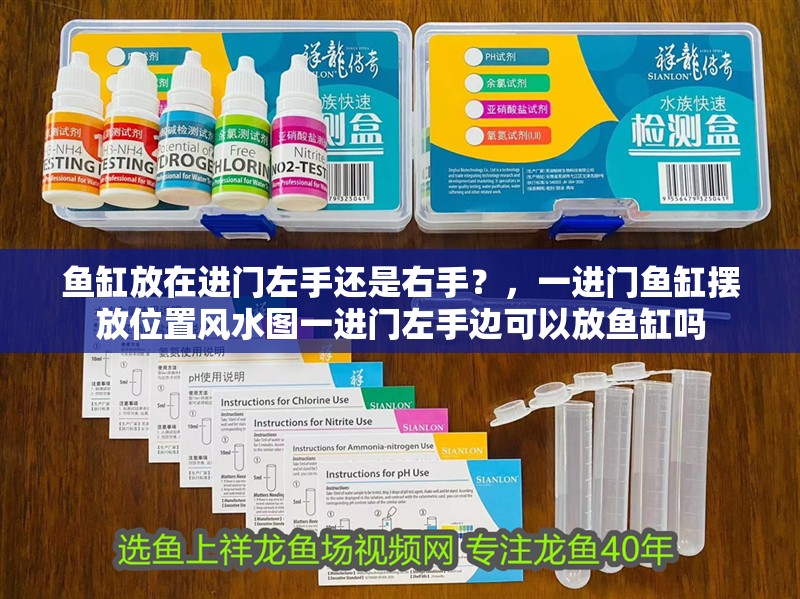 魚(yú)缸放在進(jìn)門(mén)左手還是右手？，一進(jìn)門(mén)魚(yú)缸擺放位置風(fēng)水圖一進(jìn)門(mén)左手邊可以放魚(yú)缸嗎