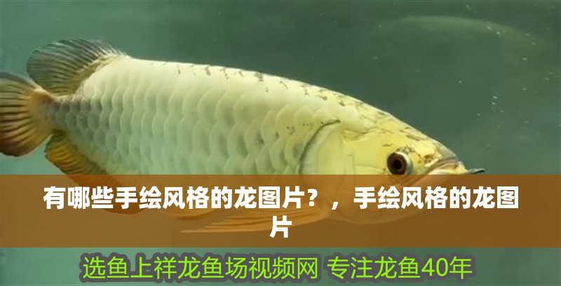 有哪些手繪風格的龍圖片？，手繪風格的龍圖片