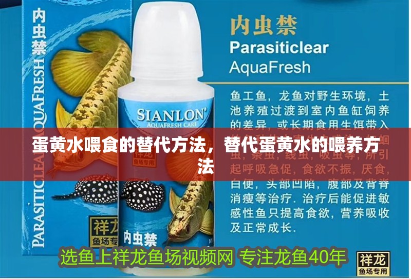 蛋黃水喂食的替代方法，替代蛋黃水的喂養方法