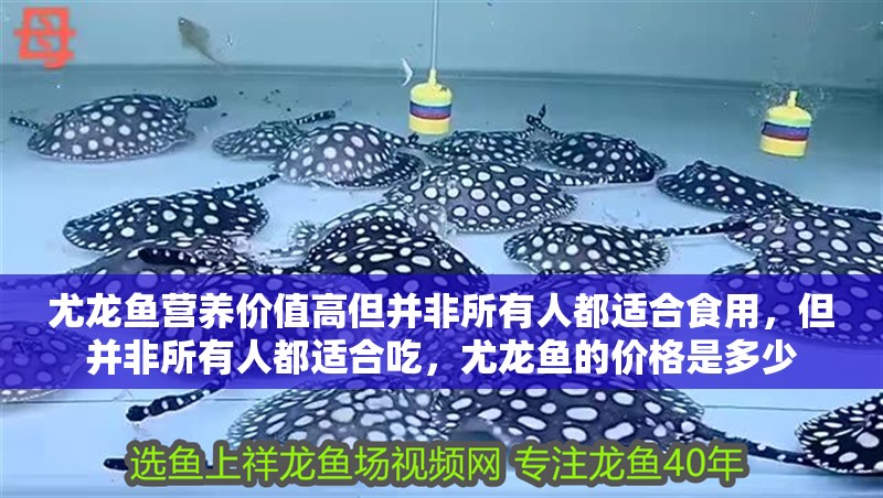 尤龍魚營養價值高但并非所有人都適合食用，但并非所有人都適合吃，尤龍魚的價格是多少