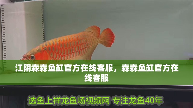 江陰森森魚缸官方在線客服，森森魚缸官方在線客服