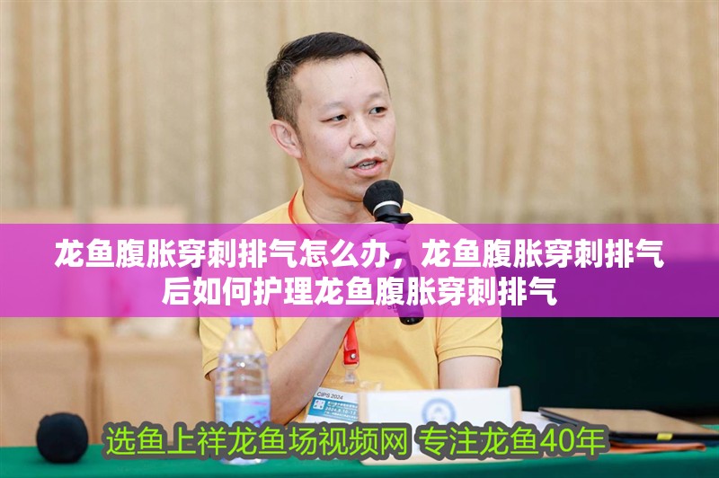 龍魚腹脹穿刺排氣怎么辦，龍魚腹脹穿刺排氣后如何護理龍魚腹脹穿刺排氣