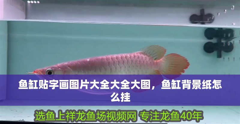 魚缸貼字畫圖片大全大全大圖，魚缸背景紙怎么掛