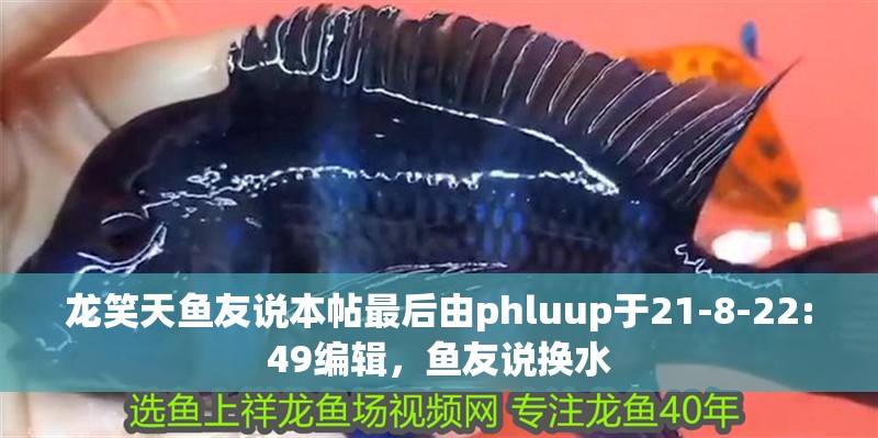 龍笑天魚友說本帖最后由phluup于21-8-22:49編輯，魚友說換水