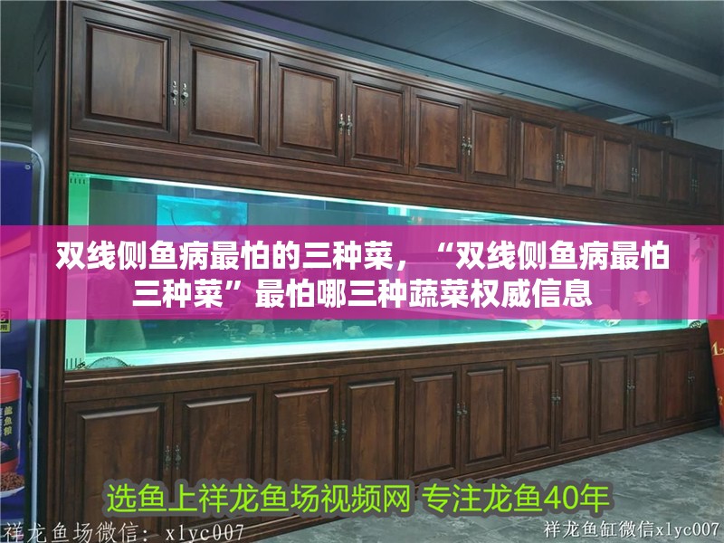 雙線側(cè)魚(yú)病最怕的三種菜，“雙線側(cè)魚(yú)病最怕三種菜”最怕哪三種蔬菜權(quán)威信息 雙線側(cè)魚(yú)病最怕的三種菜，“雙線側(cè)魚(yú)病最怕三種菜”最怕哪三種蔬菜權(quán)威信息 觀賞魚(yú)百科 第3張