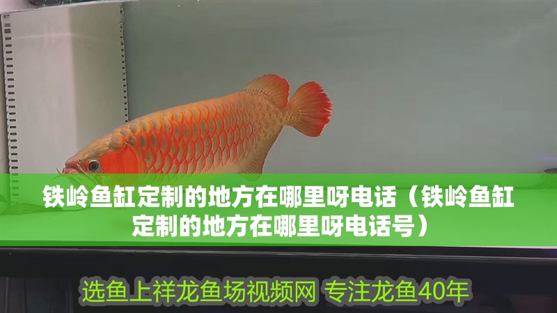 鐵嶺魚缸定制的地方在哪里呀電話（鐵嶺魚缸定制的地方在哪里呀電話號(hào)）