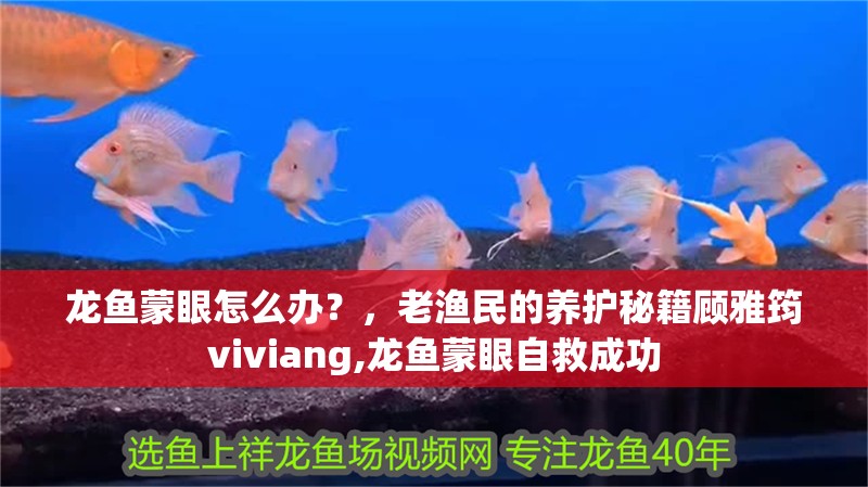龍魚蒙眼怎么辦？，老漁民的養護秘籍顧雅筠viviang,龍魚蒙眼自救成功