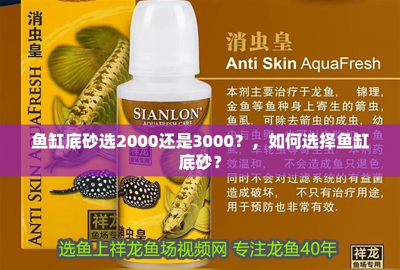 魚缸底砂選2000還是3000？，如何選擇魚缸底砂？