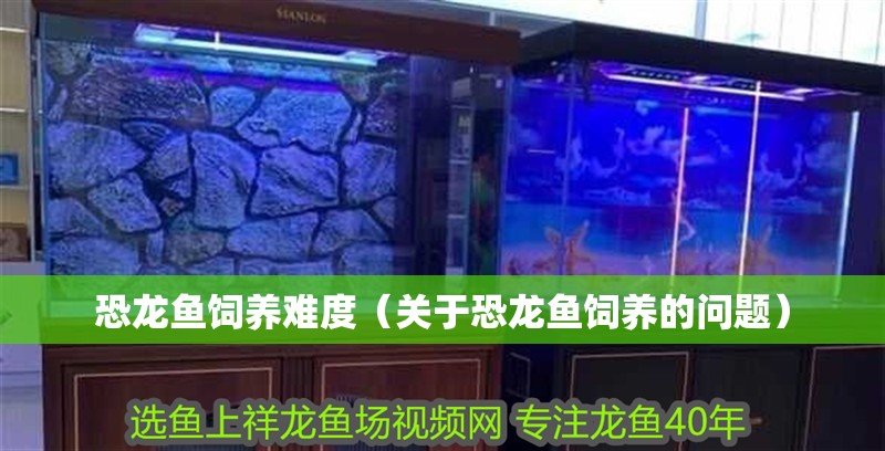 恐龍魚(yú)飼養(yǎng)難度（關(guān)于恐龍魚(yú)飼養(yǎng)的問(wèn)題）