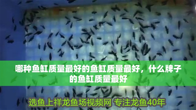 哪種魚缸質量最好的魚缸質量最好，什么牌子的魚缸質量最好