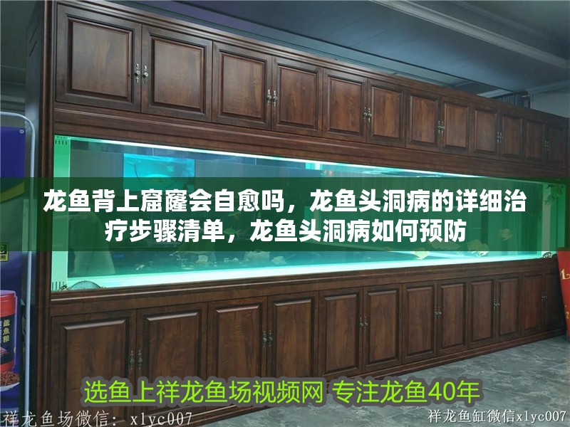 龍魚背上窟窿會自愈嗎，龍魚頭洞病的詳細治療步驟清單，龍魚頭洞病如何預防