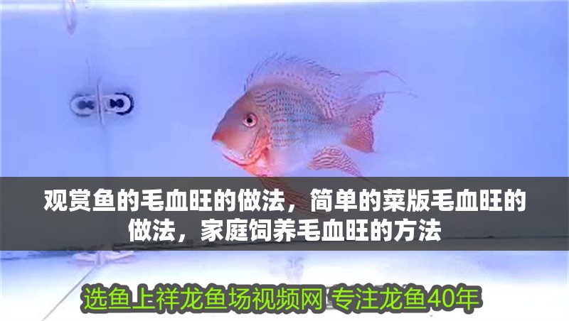 觀賞魚的毛血旺的做法，簡單的菜版毛血旺的做法，家庭飼養毛血旺的方法