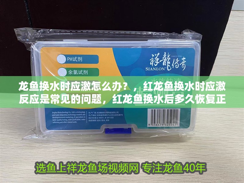 龍魚換水時應(yīng)激怎么辦？，紅龍魚換水時應(yīng)激反應(yīng)是常見的問題，紅龍魚換水后多久恢復(fù)正常