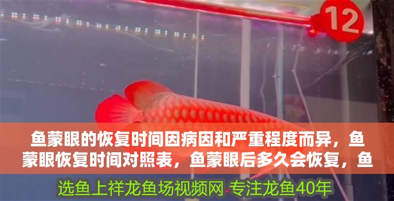 魚蒙眼的恢復時間因病因和嚴重程度而異，魚蒙眼恢復時間對照表，魚蒙眼后多久會恢復，魚蒙眼的恢復時間因病因和嚴重程度而異