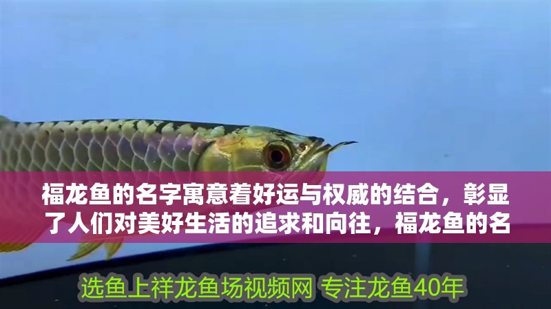 福龍魚的名字寓意著好運與權威的結合，彰顯了人們對美好生活的追求和向往，福龍魚的名字及其含義寓意寓意著好運與權威的結合