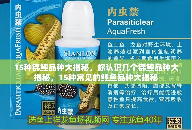 15種錦鯉品種大揭秘，你認(rèn)識(shí)幾個(gè)錦鯉品種大揭秘，15種常見(jiàn)的鯉魚(yú)品種大揭秘