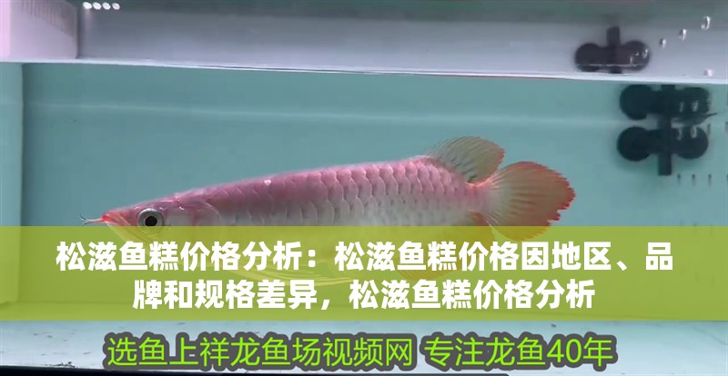 松滋魚糕價(jià)格分析：松滋魚糕價(jià)格因地區(qū)、品牌和規(guī)格差異，松滋魚糕價(jià)格分析