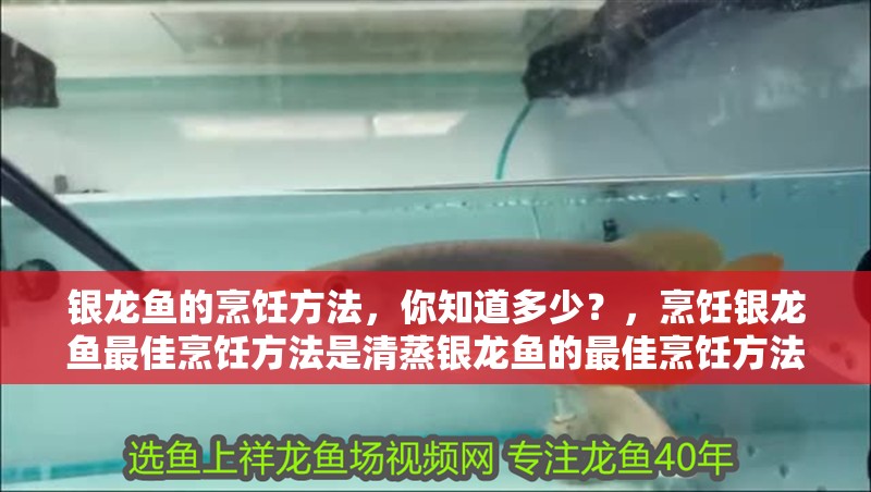 銀龍魚的烹飪方法，你知道多少？，烹飪銀龍魚最佳烹飪方法是清蒸銀龍魚的最佳烹飪方法