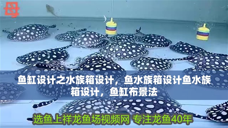 魚缸設(shè)計之水族箱設(shè)計，魚水族箱設(shè)計魚水族箱設(shè)計，魚缸布景法