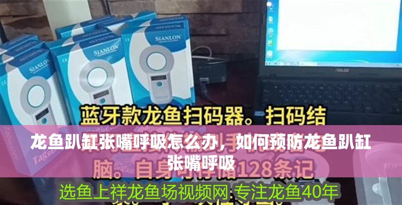 龍魚(yú)趴缸張嘴呼吸怎么辦，如何預(yù)防龍魚(yú)趴缸張嘴呼吸