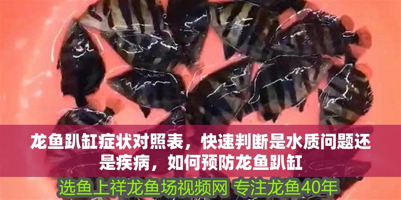 龍魚趴缸癥狀對照表，快速判斷是水質問題還是疾病，如何預防龍魚趴缸