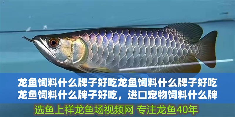 龍魚飼料什么牌子好吃龍魚飼料什么牌子好吃龍魚飼料什么牌子好吃，進口寵物飼料什么牌子好吃龍魚飼料什么牌子好吃