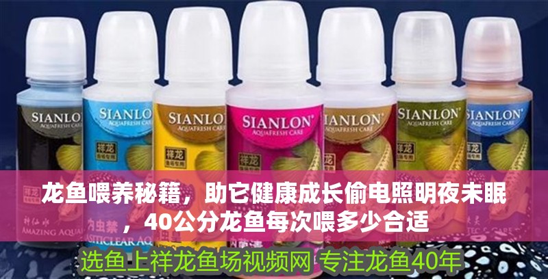 龍魚喂養秘籍，助它健康成長偷電照明夜未眠，40公分龍魚每次喂多少合適