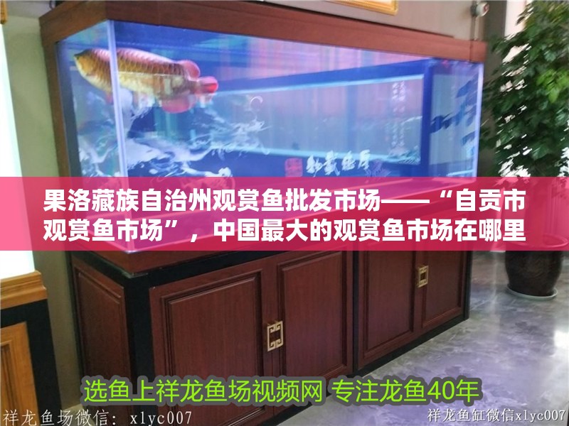 果洛藏族自治州觀賞魚批發市場——“自貢市觀賞魚市場”，中國最大的觀賞魚市場在哪里？