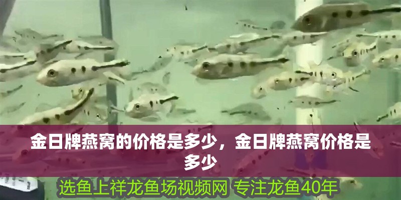 金日牌燕窩的價格是多少，金日牌燕窩價格是多少