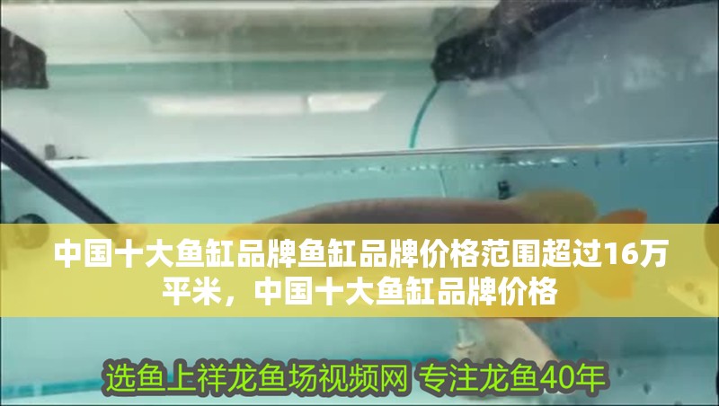 中國十大魚缸品牌魚缸品牌價格范圍超過16萬平米，中國十大魚缸品牌價格