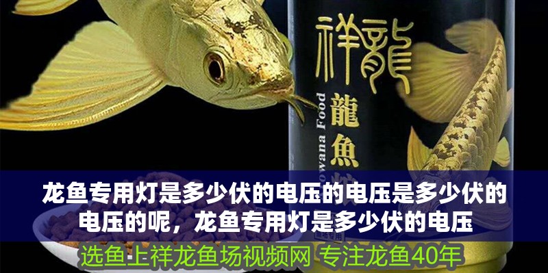 龍魚專用燈是多少伏的電壓的電壓是多少伏的電壓的呢，龍魚專用燈是多少伏的電壓