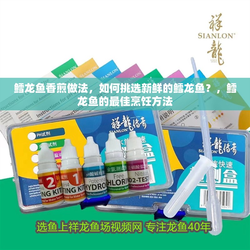 鱈龍魚香煎做法，如何挑選新鮮的鱈龍魚？，鱈龍魚的最佳烹飪方法