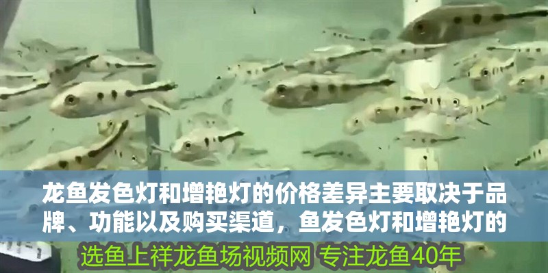龍魚發色燈和增艷燈的價格差異主要取決于品牌、功能以及購買渠道，魚發色燈和增艷燈的價格差異主要取決于品牌、功能以及購買渠道