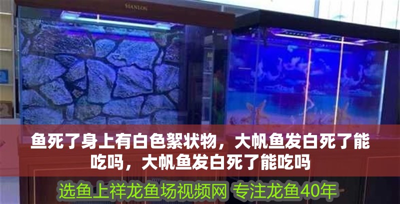 魚死了身上有白色絮狀物，大帆魚發白死了能吃嗎，大帆魚發白死了能吃嗎