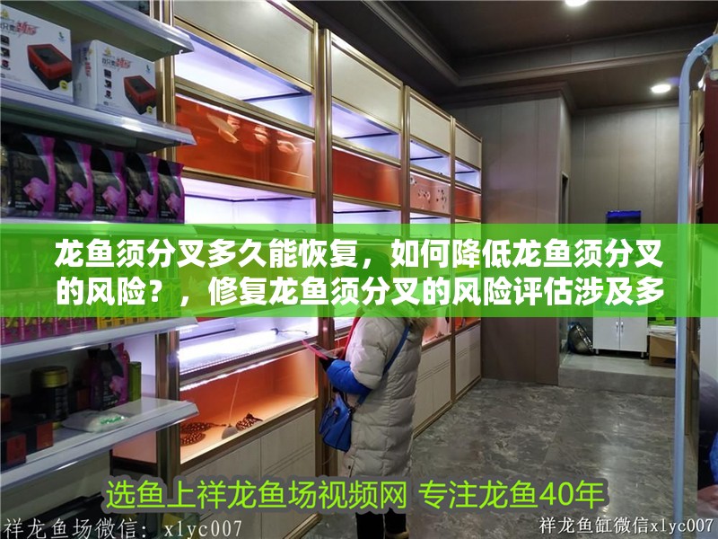 龍魚須分叉多久能恢復，如何降低龍魚須分叉的風險？，修復龍魚須分叉的風險評估涉及多個因素涉及多個因素