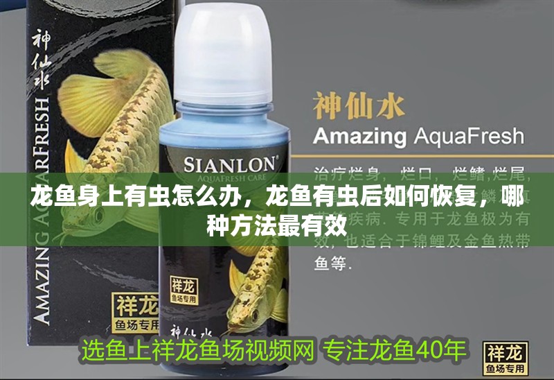 龍魚身上有蟲怎么辦，龍魚有蟲后如何恢復(fù)，哪種方法最有效