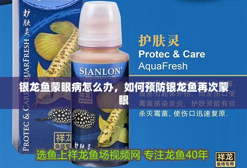 銀龍魚蒙眼病怎么辦，如何預防銀龍魚再次蒙眼