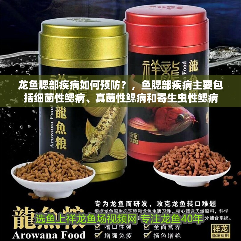 龍魚腮部疾病如何預防？，魚腮部疾病主要包括細菌性鰓病、真菌性鰓病和寄生蟲性鰓病