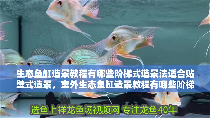 生態魚缸造景教程有哪些階梯式造景法適合貼壁式造景，室外生態魚缸造景教程有哪些階梯式造景方法有哪些