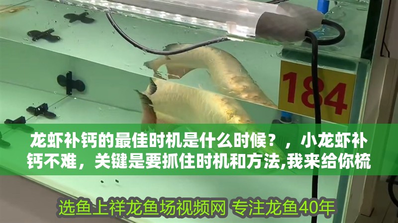 龍蝦補(bǔ)鈣的最佳時(shí)機(jī)是什么時(shí)候？，小龍蝦補(bǔ)鈣不難，關(guān)鍵是要抓住時(shí)機(jī)和方法,我來(lái)給你梳理幾個(gè)技巧