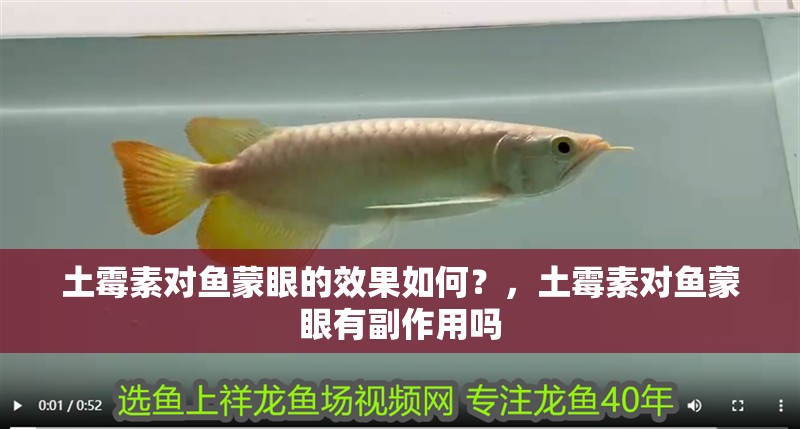 土霉素對魚蒙眼的效果如何？，土霉素對魚蒙眼有副作用嗎