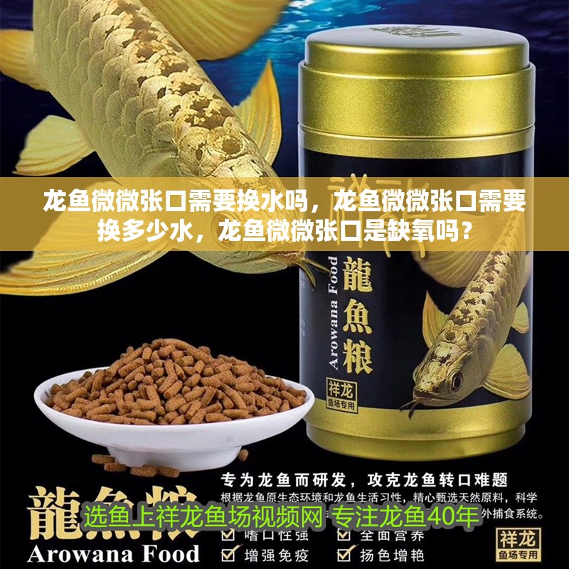 龍魚微微張口需要換水嗎，龍魚微微張口需要換多少水，龍魚微微張口是缺氧嗎？