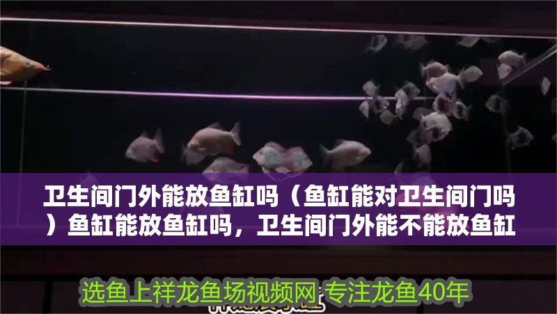 衛生間門外能放魚缸嗎（魚缸能對衛生間門嗎）魚缸能放魚缸嗎，衛生間門外能不能放魚缸？