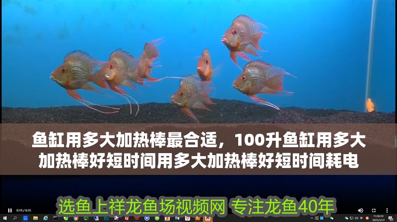 魚缸用多大加熱棒最合適，100升魚缸用多大加熱棒好短時間用多大加熱棒好短時間耗電