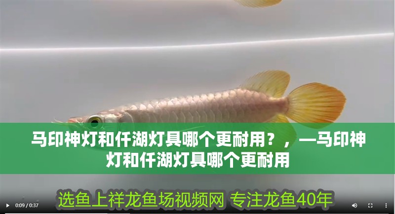 馬印神燈和仟湖燈具哪個更耐用？，—馬印神燈和仟湖燈具哪個更耐用