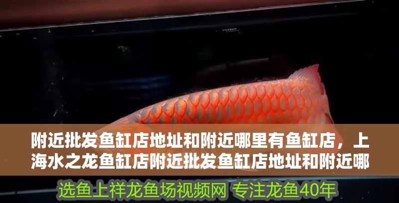 附近批發魚缸店地址和附近哪里有魚缸店，上海水之龍魚缸店附近批發魚缸店地址和附近哪里有魚缸店