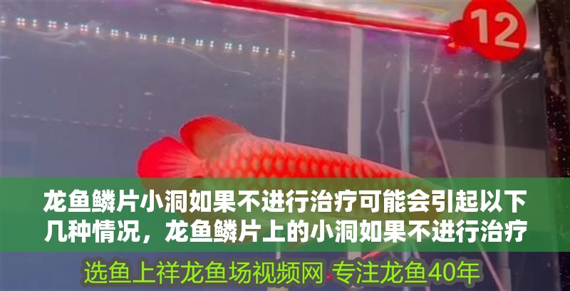 龍魚鱗片小洞如果不進(jìn)行治療可能會引起以下幾種情況，龍魚鱗片上的小洞如果不進(jìn)行治療